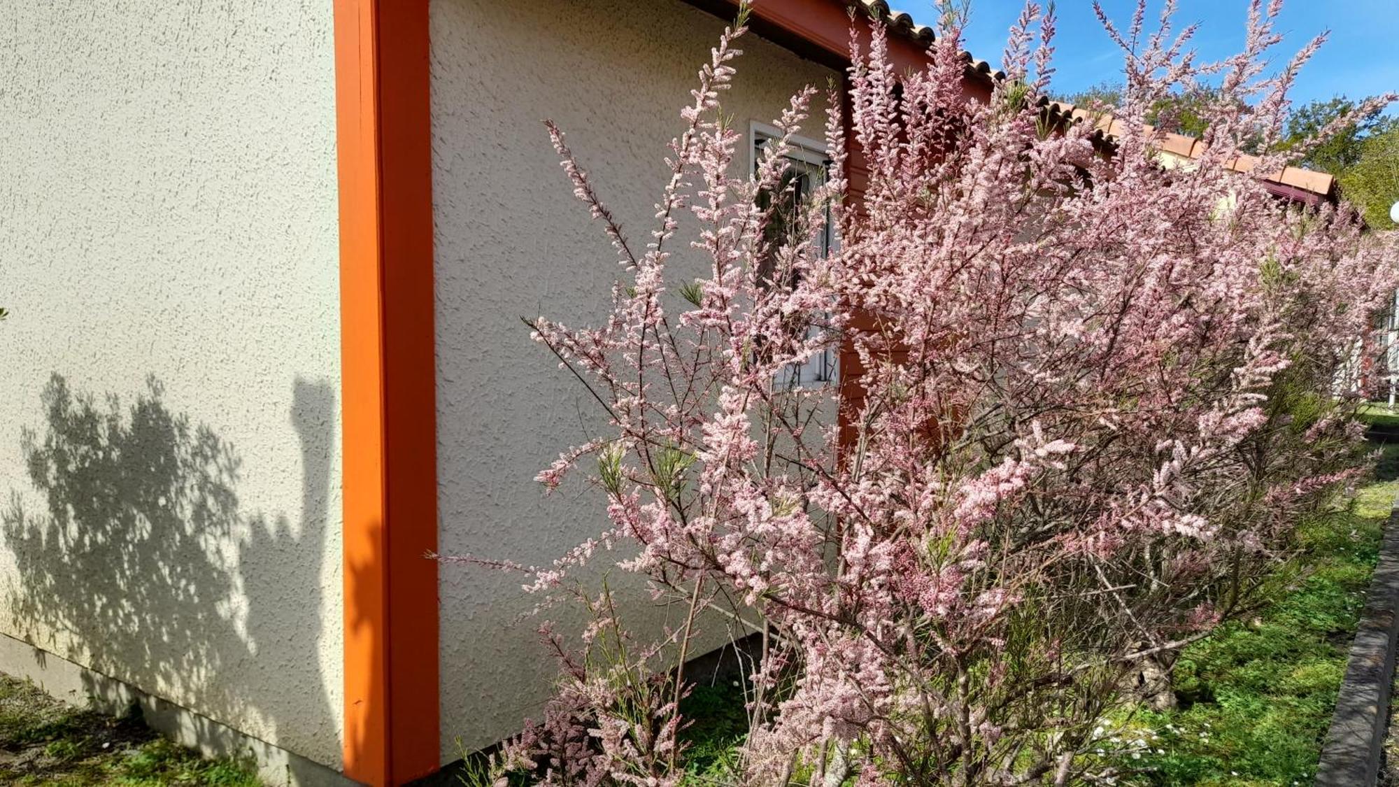 Residence Mes Amours D'Enfants - Les Villas Du Lac Soustons Eksteriør billede